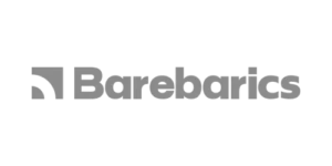 logo nb Barebarics